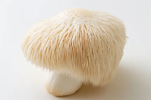 Better Fresh Farms Mushrooms