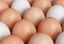 Hazelnut Pastures Eggs