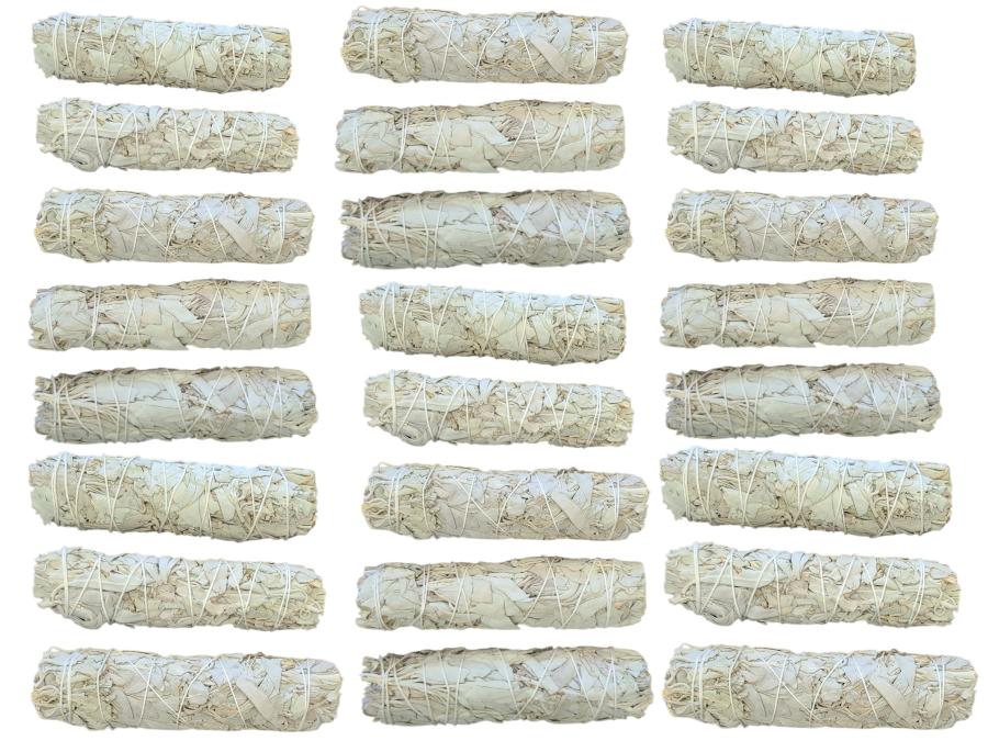 Medium California White Sage 5-6"