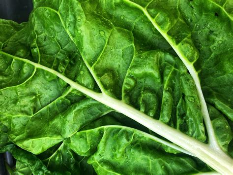 Hazelnut Pastures Leafy Greens