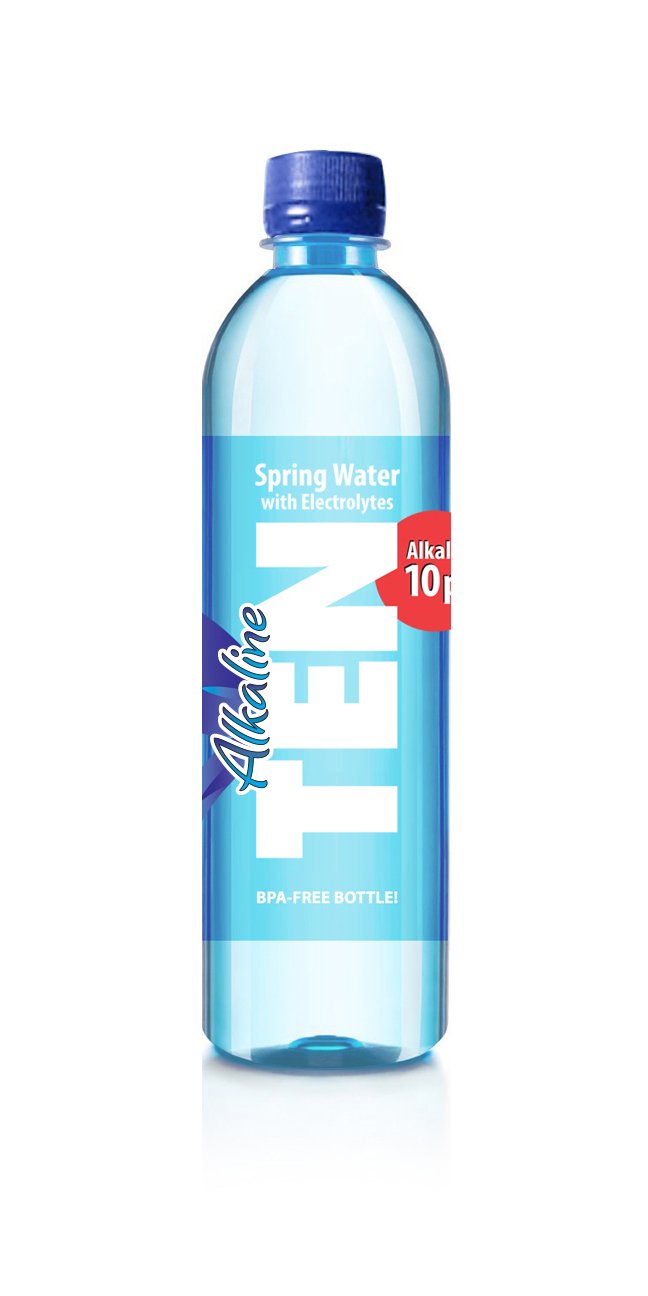 TEN Alkaline Spring Water (16.9 fl oz)