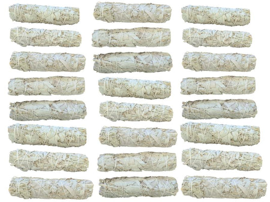 Medium California White Sage 5-6"